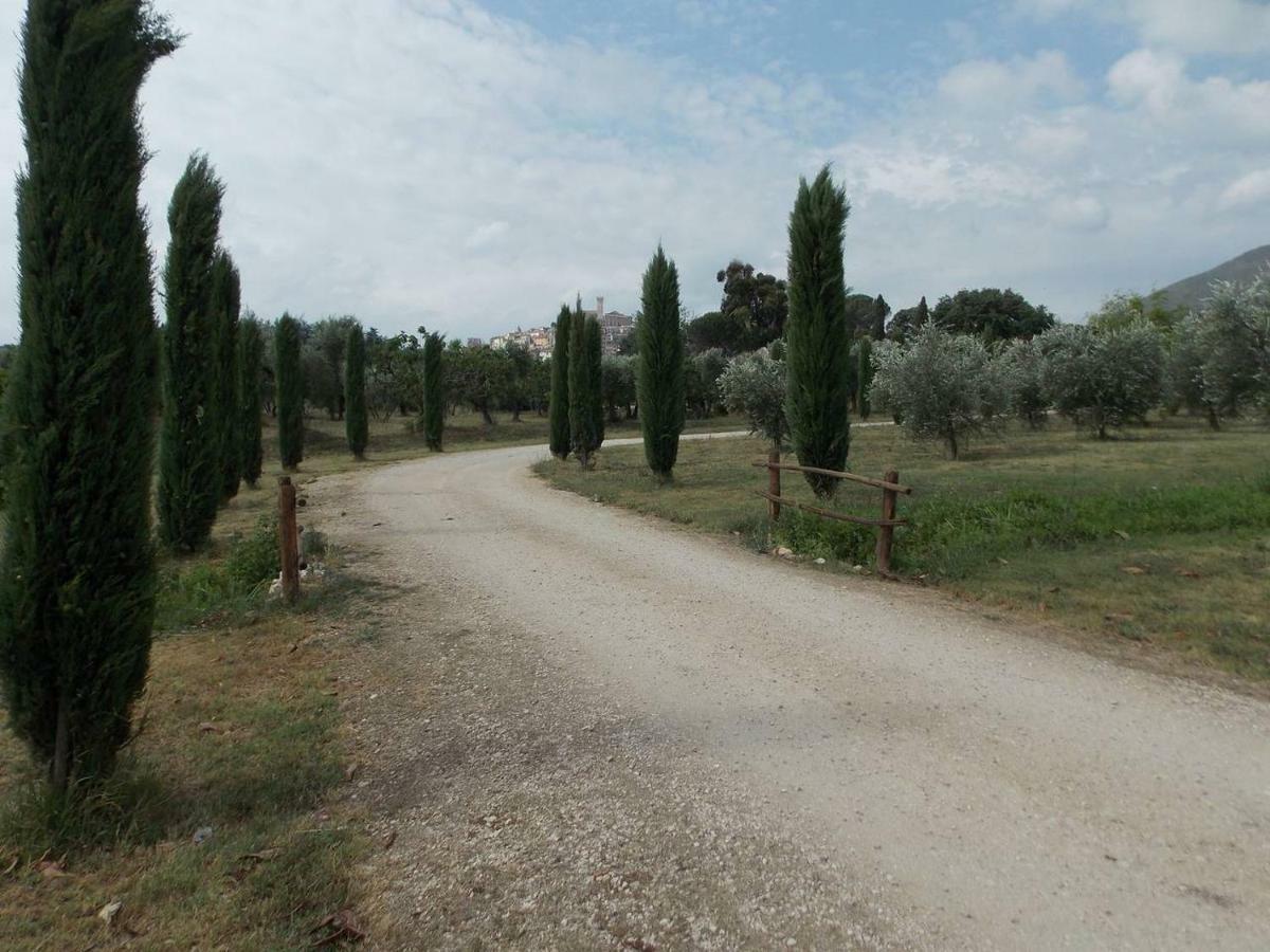 Agriturismo Cento Ducati Palombara Sabina Exterior foto
