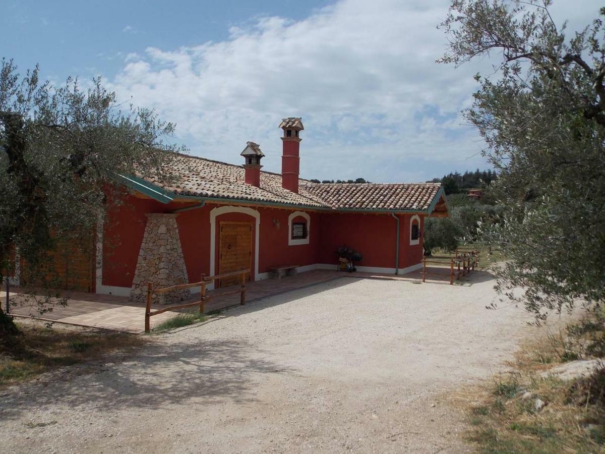 Agriturismo Cento Ducati Palombara Sabina Exterior foto
